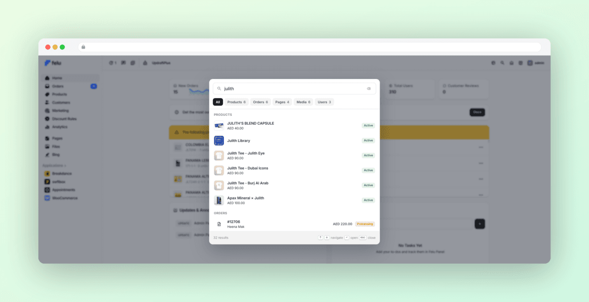 felu global search mockup